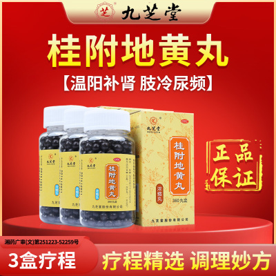 【九芝堂】桂附地黄丸0.375g*360丸/盒