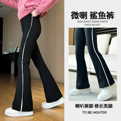 爱笨熊长裤微弹鲨鱼裤微喇裤子