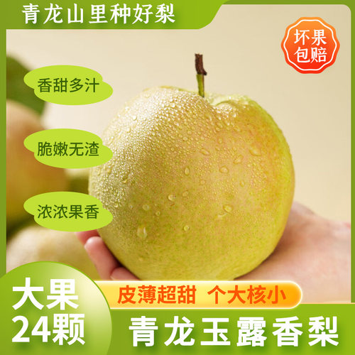 青龙玉露香梨脆甜多汁皮薄无渣梨子玉露香梨特产梨24颗大果14.2斤