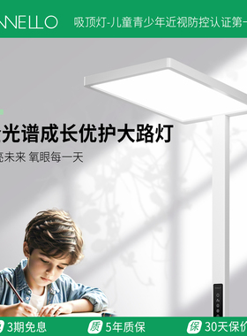 pannello帕诺迩钢琴灯护眼落地灯大路灯全光谱学习阅读办公室防眩