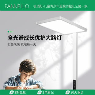 pannello帕诺迩钢琴灯护眼落地灯大路灯全光谱学习阅读办公室防眩