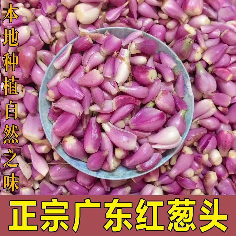 正宗四川红葱头新鲜小香葱头