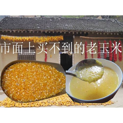 农家玉米糁小孩孕妇宝宝辅食