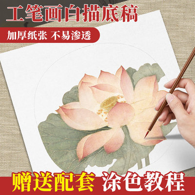 工笔画白描底稿手绘花鸟牡丹