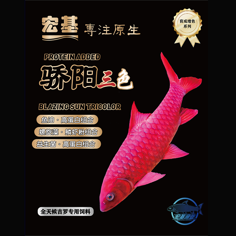 宏基渔业全天候吉罗专业鱼