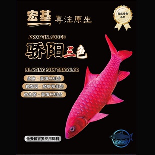 宏基渔业 骄阳三色 全天候吉罗专业饲料 缓沉蓝吉罗饲料 不浑水