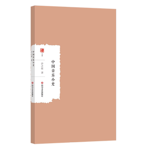 中国音乐小史-大家学术文库 中国乐律之学 音乐史研究 作者许之衡