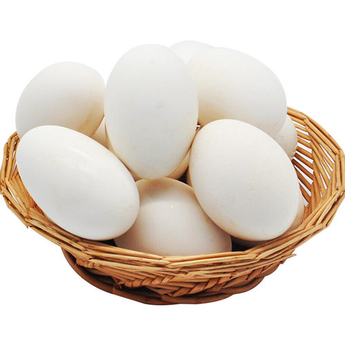 木极岛 鹅蛋 12枚1440克【kl】