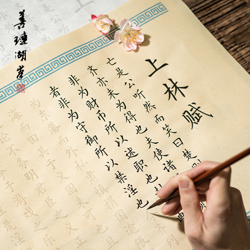 善琏湖笔上林赋临摹五米字帖卷轴宣纸书法本毛笔描红练字入门练字帖初学者长卷怎么样,好用不?