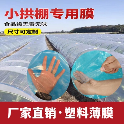 pe保温透明小拱棚耐老化