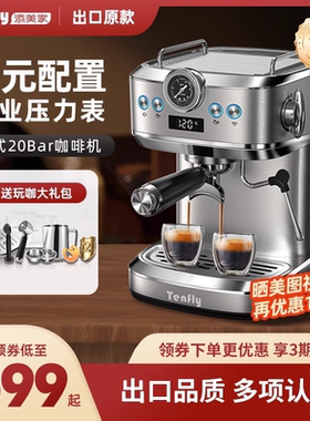 2024新款意式咖啡机添美家家用小型20BAR浓缩复古半自动迷你蒸汽