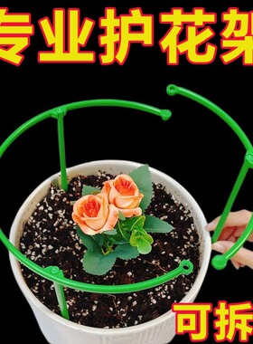 植物支撑杆园艺支架花架爬藤支架室内阳台户外绿萝蟹爪兰固定支架