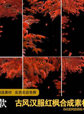 红色枫叶古风汉服战国袍写真照红枫修图设计合成素材