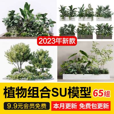 现代园林景观树SU模型植物组团乔木灌木地被花卉sketchup草图大师