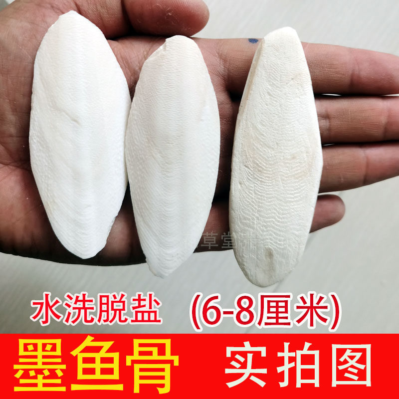 墨鱼骨整个补钙磨牙脱盐无盐鸟食鹦鹉鸽子仓鼠鸽子乌龟宠物玩具