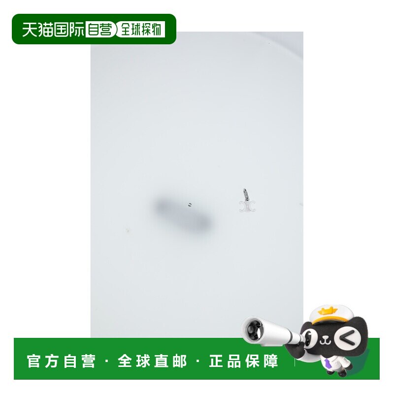 香港直邮CELINE 胸针与别针 B101L6BRA