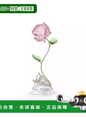 1h可退 【美国直邮】swarovski  装饰品施华洛世奇