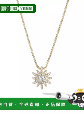 1h可退 【美国直邮】david yurman  项链