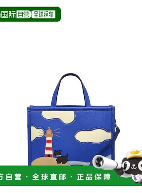 自营radleyShore Thing Small Ziptop Satchel Bag - yves blue