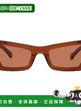 自营salvatore ferragamoFerragamo Brown Cat Eye Ladies Sungla
