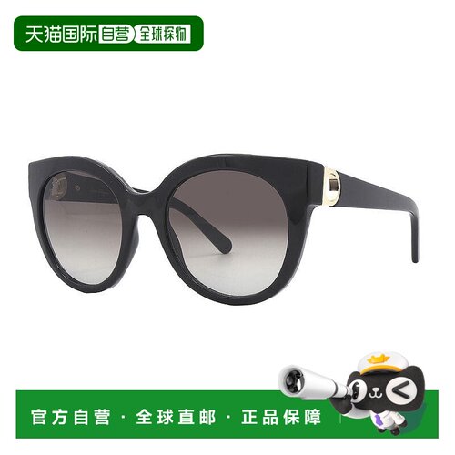 自营Salvatore Ferragamo Sunglasses Round Full Rim, Black Fra