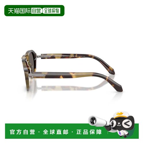 自营giorgio armani0ar8244 Bold Tortoiseshell Acetate Sunglas