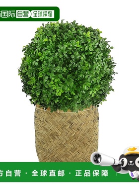 自营 creative displaysCreative 在篮式播种机中展示抗紫外线黄