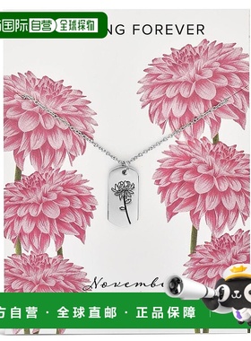 1h可退 【美国直邮】sterling forever 通用 项链吊坠