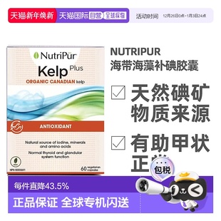 60粒 plus海带海藻补碘增强胶囊 瓶 kelp 加拿大直邮NutriPur