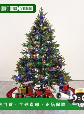 自营 safavieh5.5 英尺、绿色、预照明人造圣诞树 - 绿色 美国奥