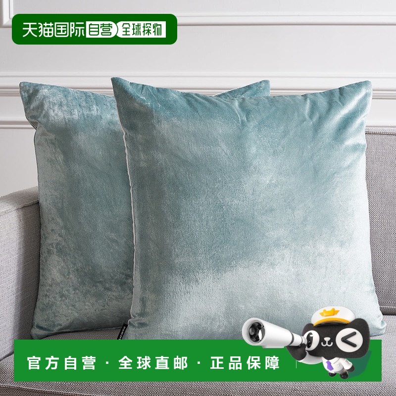 Safavieh Jovanni 枕头 - 水绿色 【美国奥莱】直发