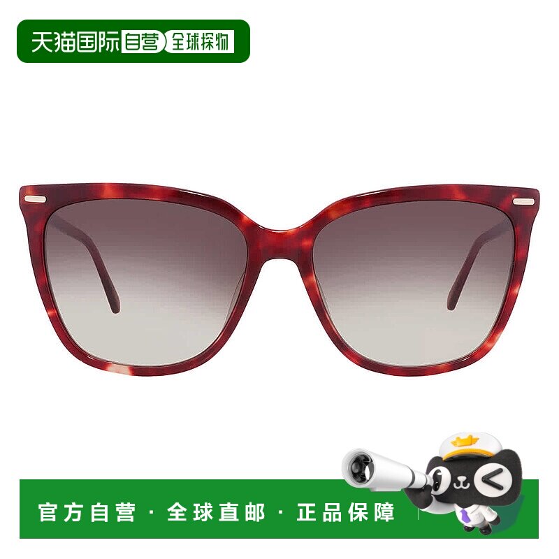 自营Calvin Klein Grey Gradient Butterfly Ladies Sunglasses C