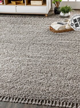 jonathan yMercer Shag Plush Tassel Area Rug - grey 【美国奥