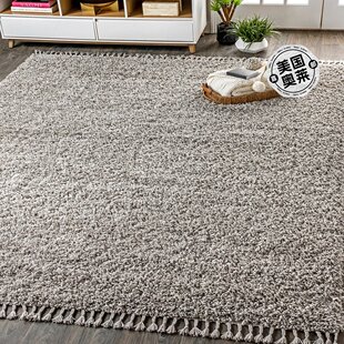 jonathan yMercer Shag Plush Tassel Area Rug - grey 【美国奥
