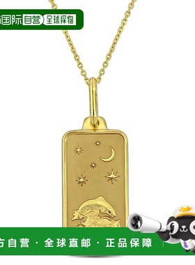 自营 10k 金 Mimi & Max 双鱼座星座项链 - 黄金 美国奥莱直发