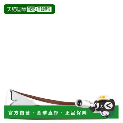 自营Amina Muaddi Mirror Silver Camelia Ballet Flats - mirror