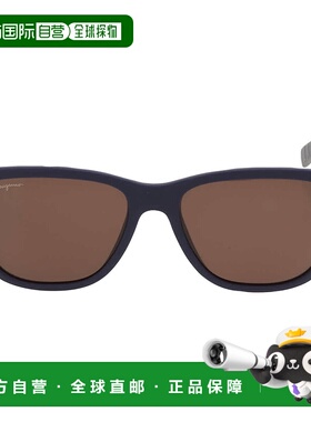 自营Salvatore Ferragamo Brown Rectangular Men's Sunglasses S