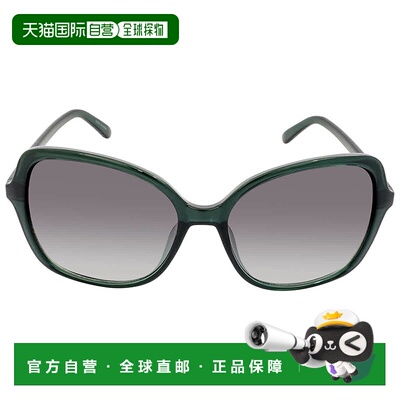 自营Calvin Klein Grey Gradient Butterfly Ladies Sunglasses C