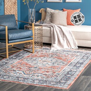 Vintage 美国奥莱 Zara 橙色 直发 Medallion nuloom