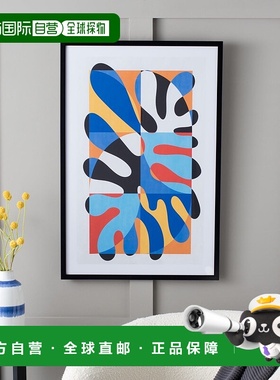 自营 Safavieh Spunky Splat 裱框壁画 - 多色 美国奥莱直发