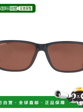 自营Salvatore Ferragamo Brown Rectangular Men's Sunglasses S