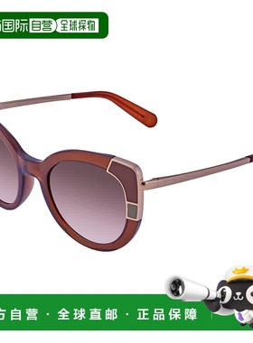 自营Salvatore Ferragamo Brown Gradient Cat Eye Ladies Sungla