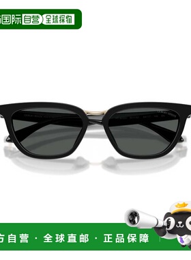 自营giorgio armani0Ar8253U Angular Acetate Sunglasses - grey