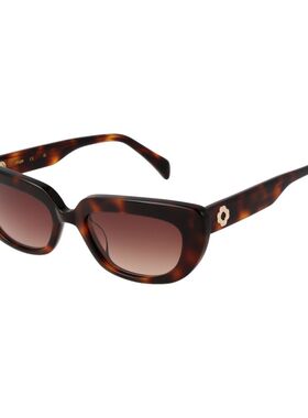 自营Maje Acetate Women's Sunglasses - brown 美国奥莱直发