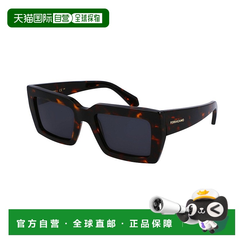 自营salvatore ferragamo菲拉格慕女式76058 54毫米太阳镜-棕色