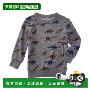 grey 自营Chaser Pullover Dinos 美国奥莱直发 Skeleton