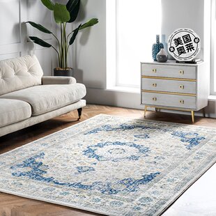 nuLOOM Vintage Lindsay Persian Area Rug - blue 【美国奥莱】