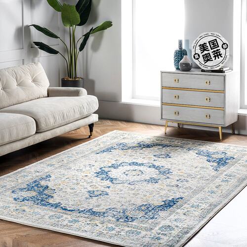 nuLOOM Vintage Lindsay Persian Area Rug - blue 【美国奥莱】