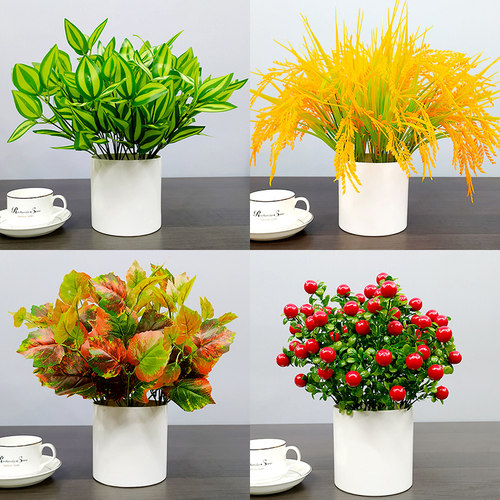绿萝小盆栽植物室内外田园摆设