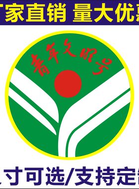 诗束青年文明号标志多种尺寸可选
